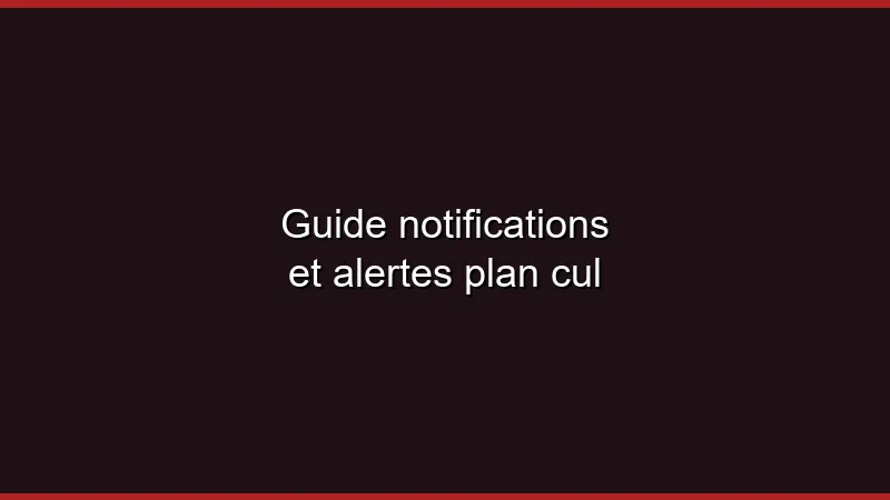 Guide notifications et alertes plan cul