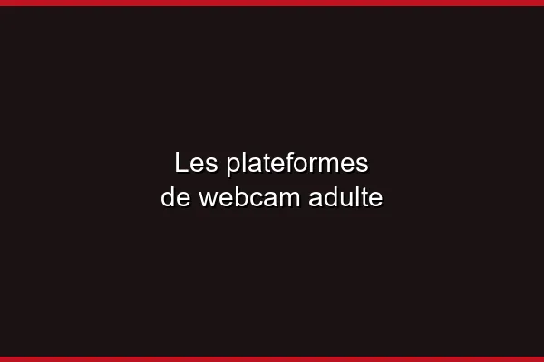 Comprendre le concept